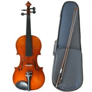 Ảnh Đàn Violin Suzuki NS20FE 4/4