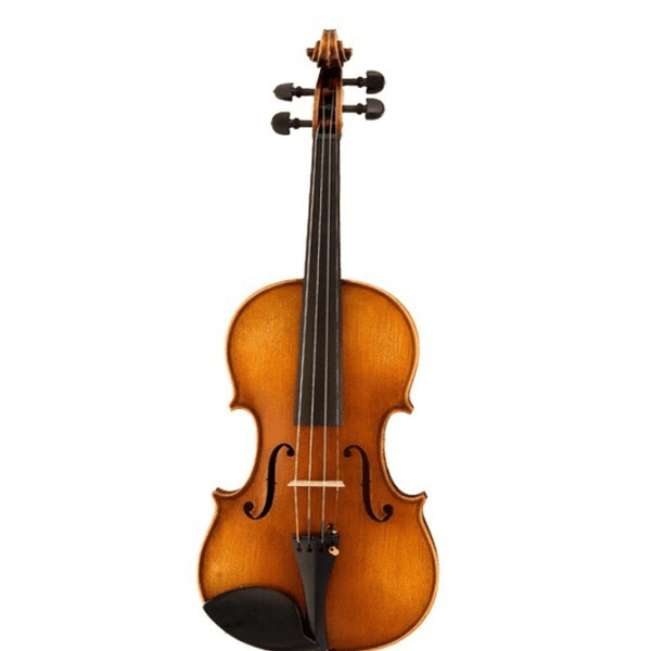 Ảnh Đàn violin selmer VI30E4CH