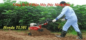 Ảnh Máy xới đất đa năng Honda TL501