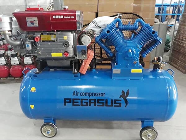 Ảnh Máy nén khí chạy dầu Diesel Pegasus TM-W-1.6/12.5-500L